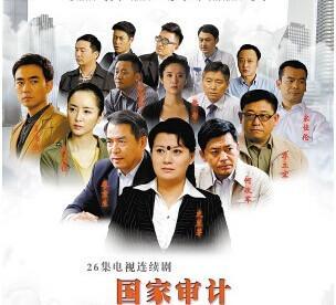 国家审计电视剧在线观看,揭秘电视剧在线观看背后的故事